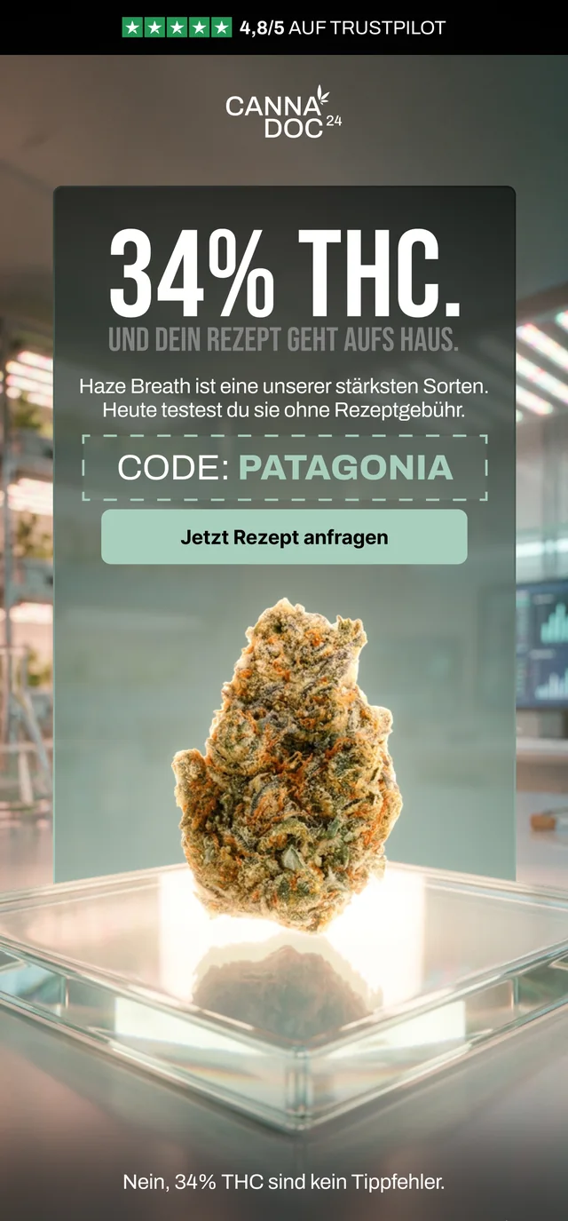 German CannaDoc Patagonia newsletter produced by Ecom Mails